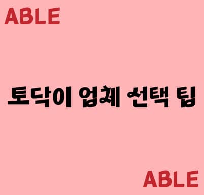 토닥이-업체-선택-팁