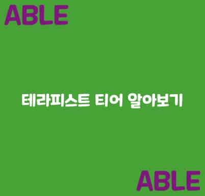 테라피스트-티어-알아보기